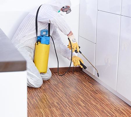 multiservice_disinfestazione_antilarvale